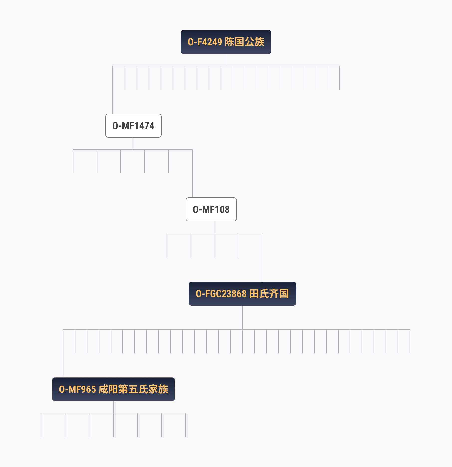 咸阳第五氏.png